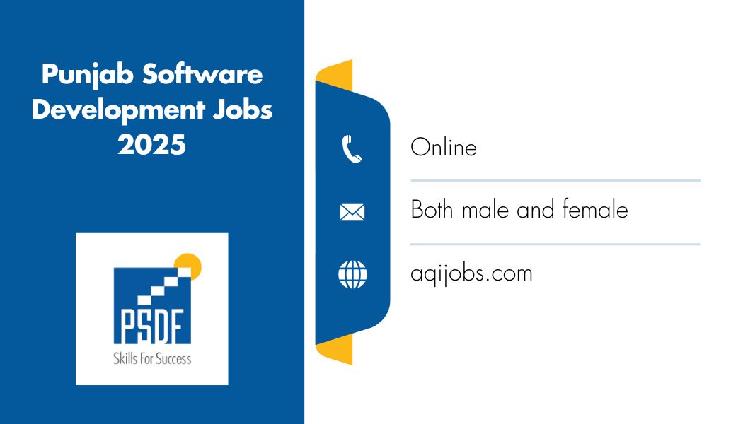 Punjab Software Development Jobs 2025