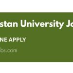 Pakistan University Jobs